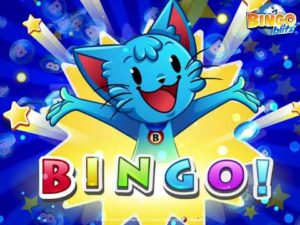 bingo